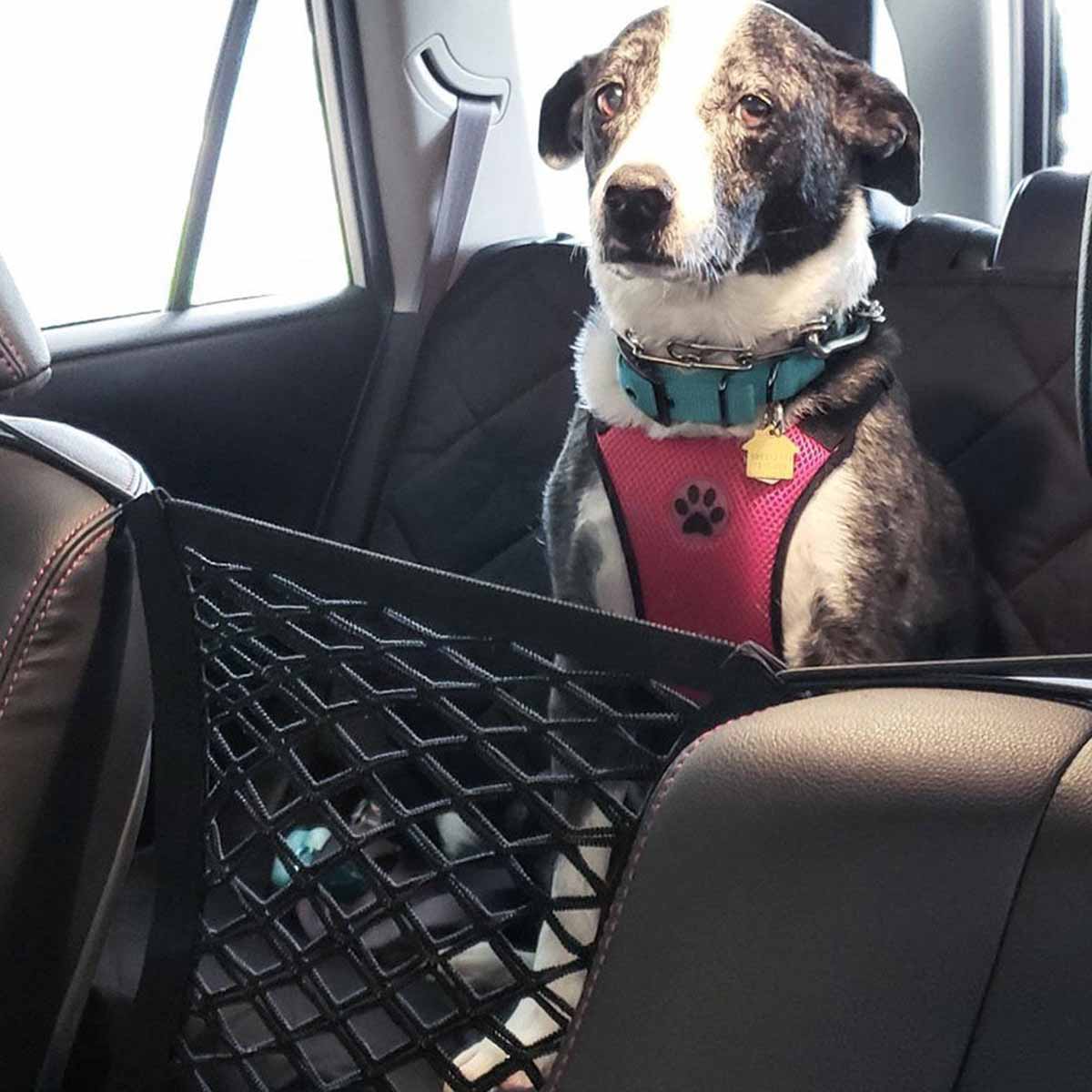 Pet Dog Rear Seat Car Fence Do - Partition Screen Divider ulasan dan harga